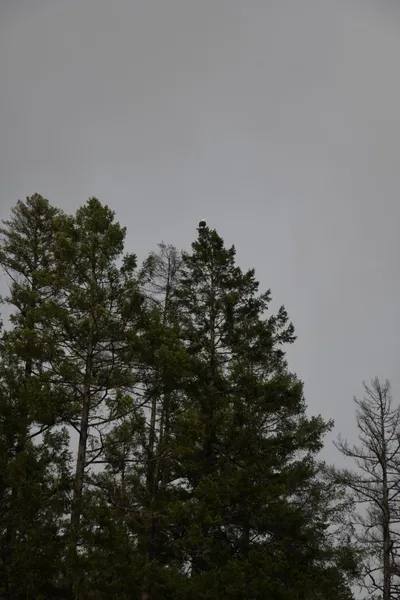 DSC_0189 (Large).JPG